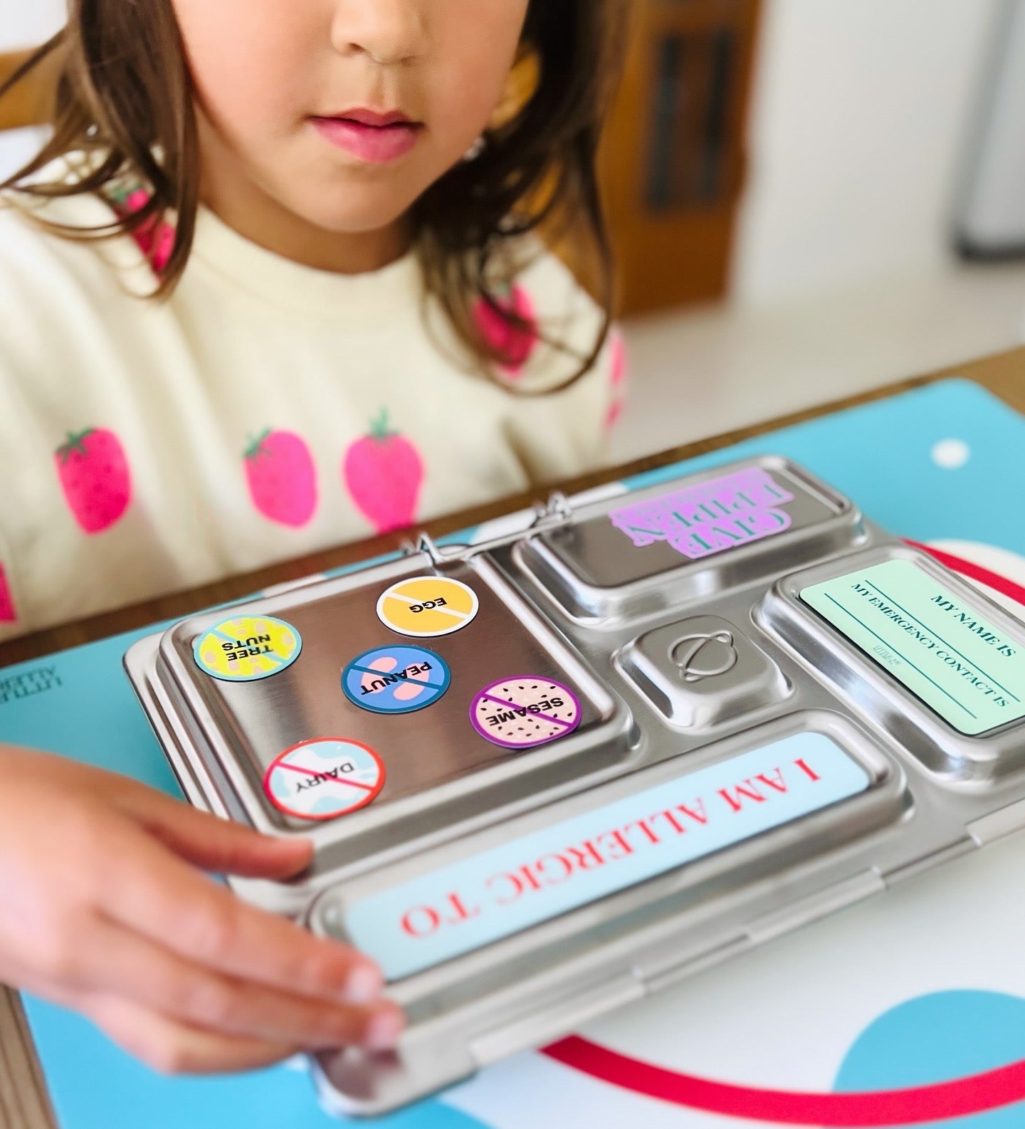 Lunch Box Magnets