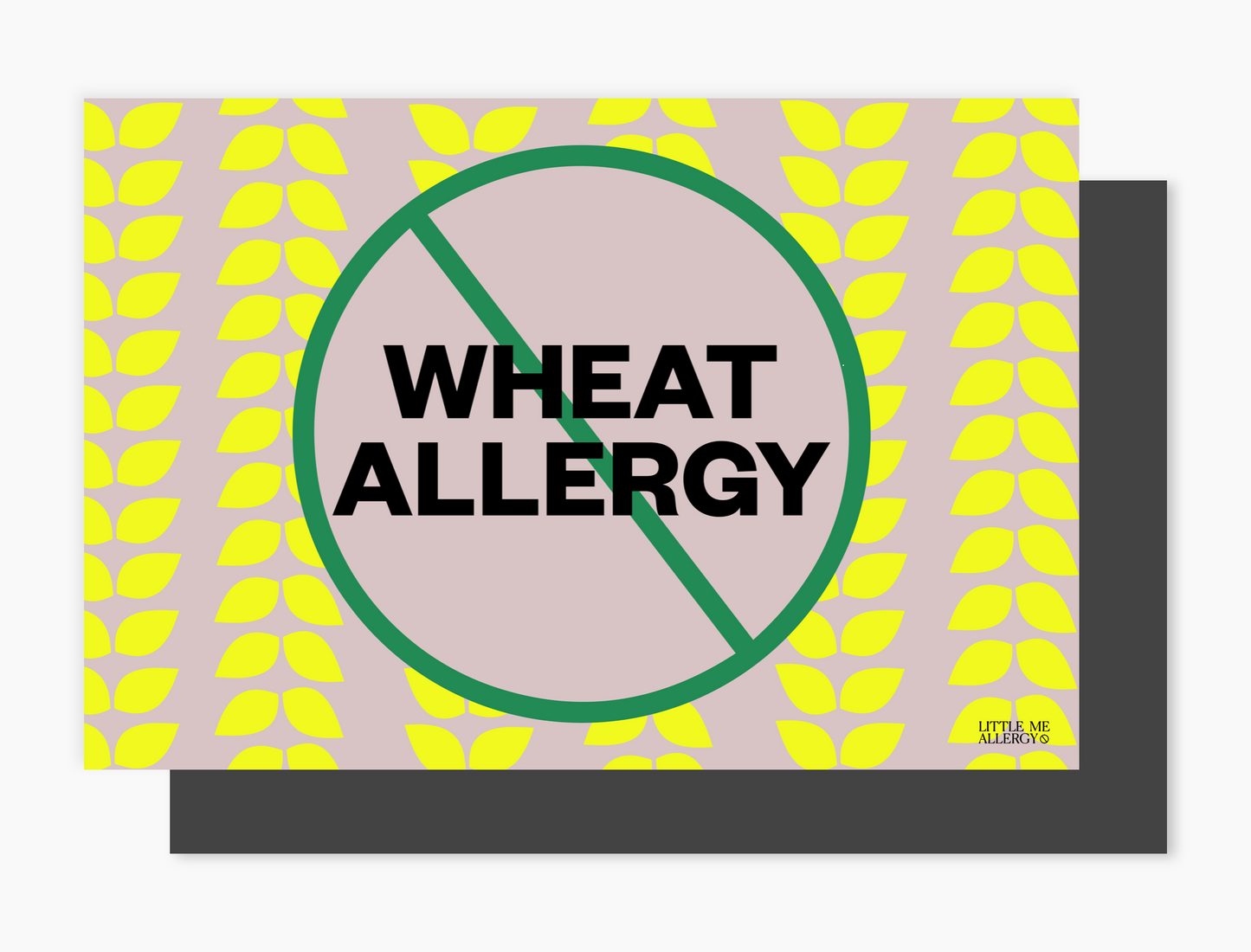 The Wheat Allergy Kit