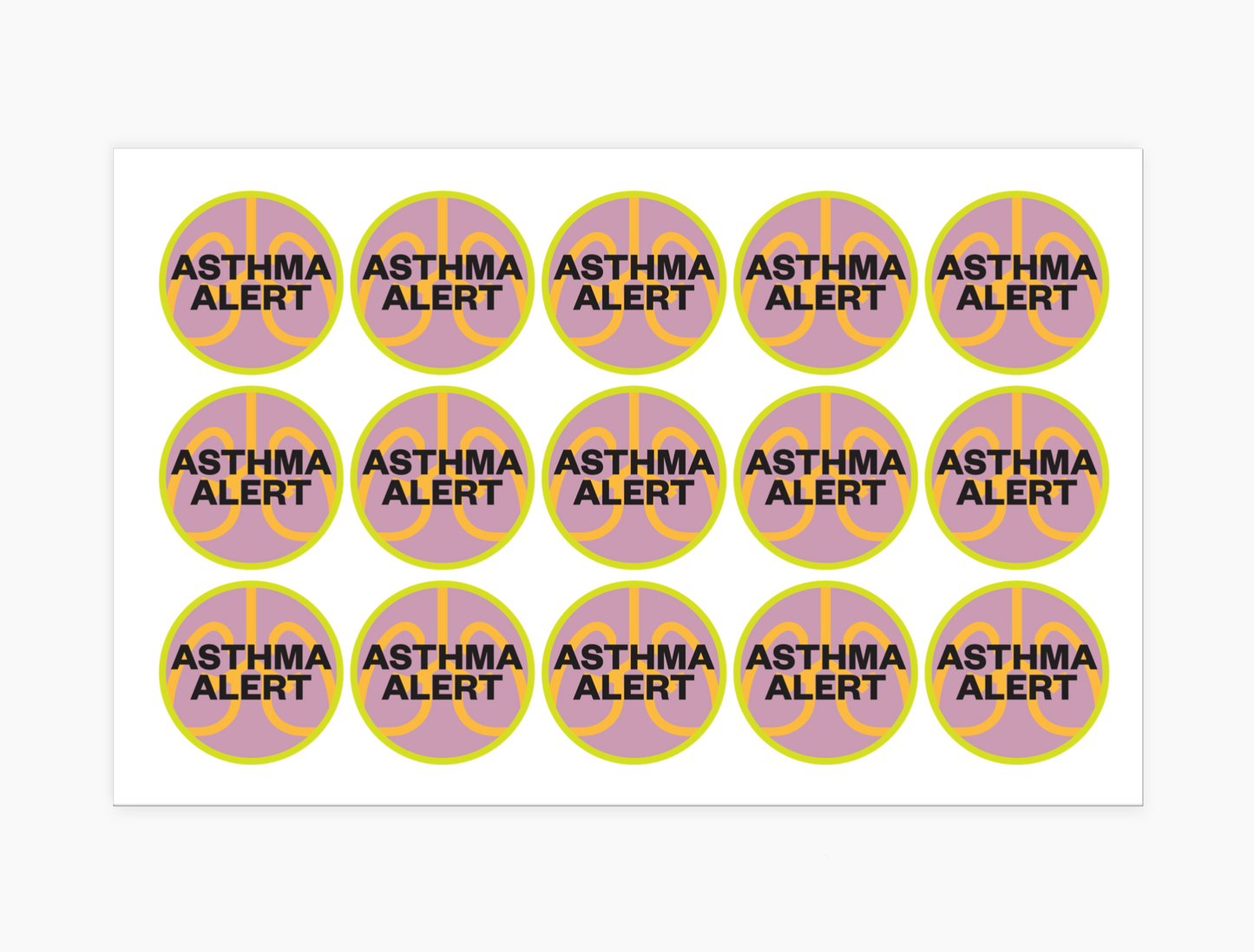 The Asthma Alert Kit