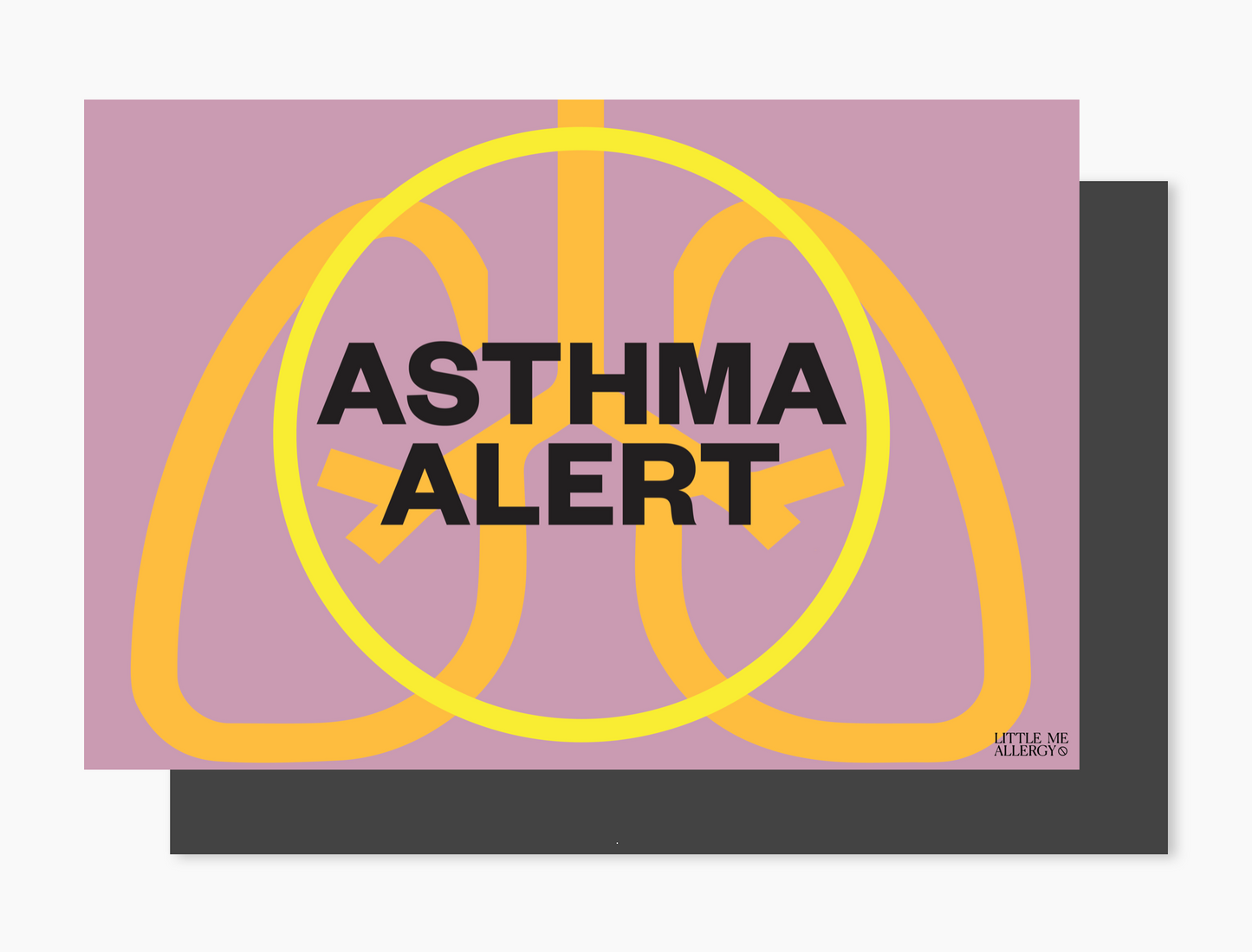 The Asthma Alert Kit