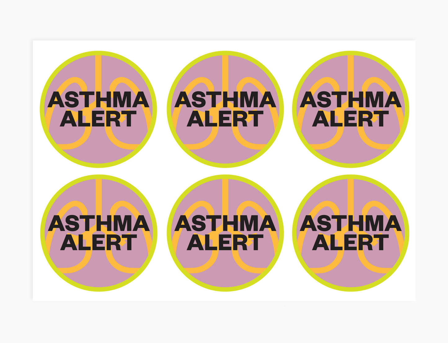 The Asthma Alert Kit