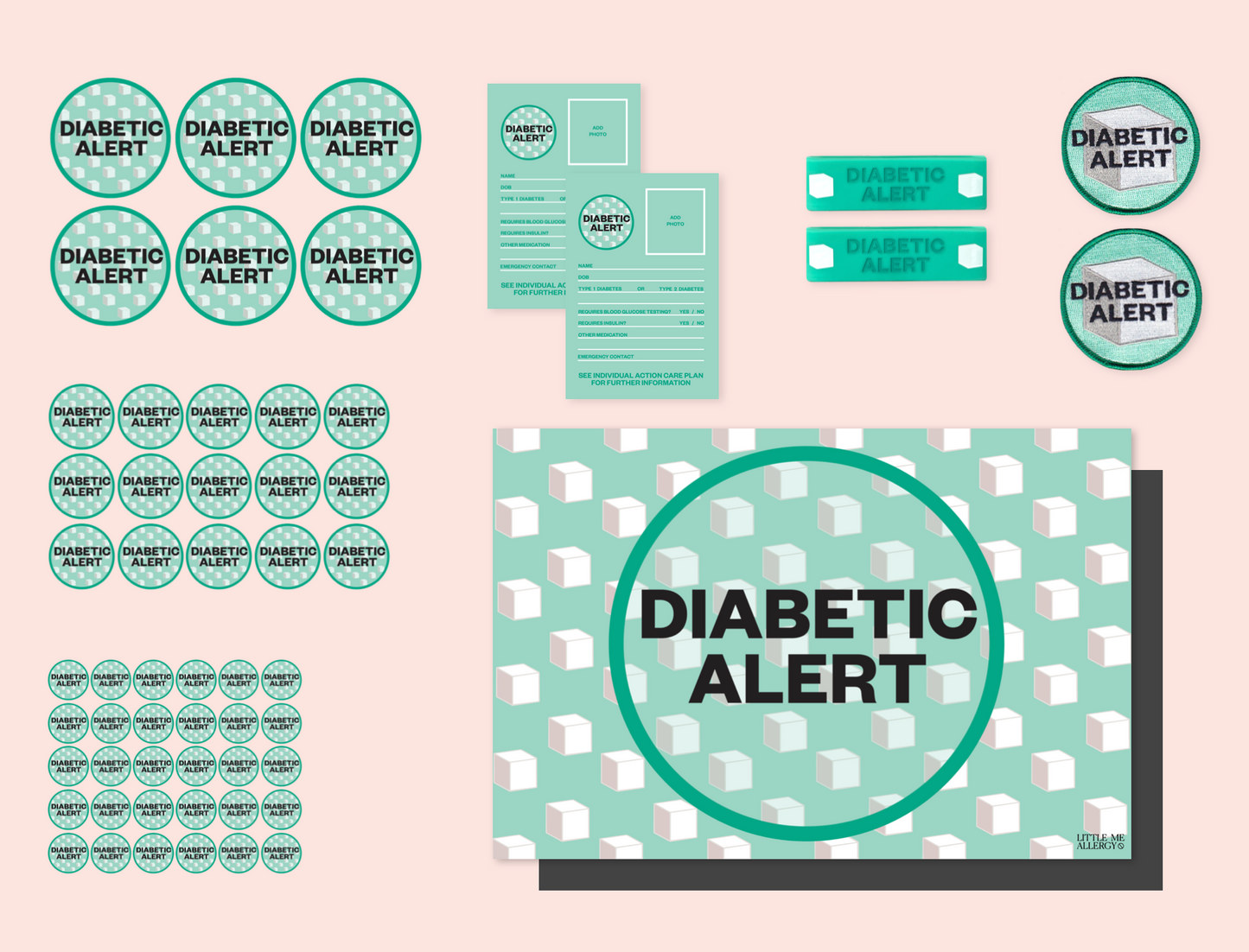 The Diabetic Alert Kit